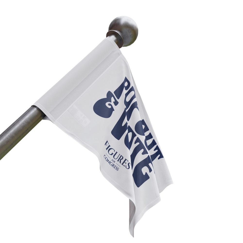 Figures For Congress Flag